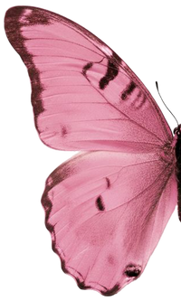 Left wing