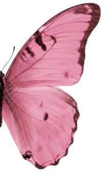 Right wing